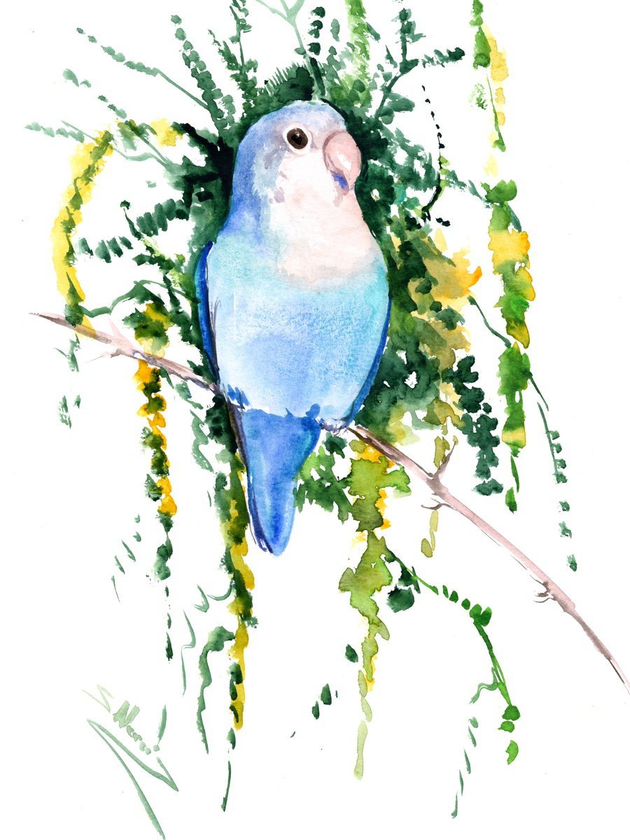 Blue Lovebird and Acacia Tree by Suren Nersisyan