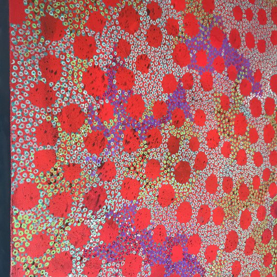 Desert fairy circles