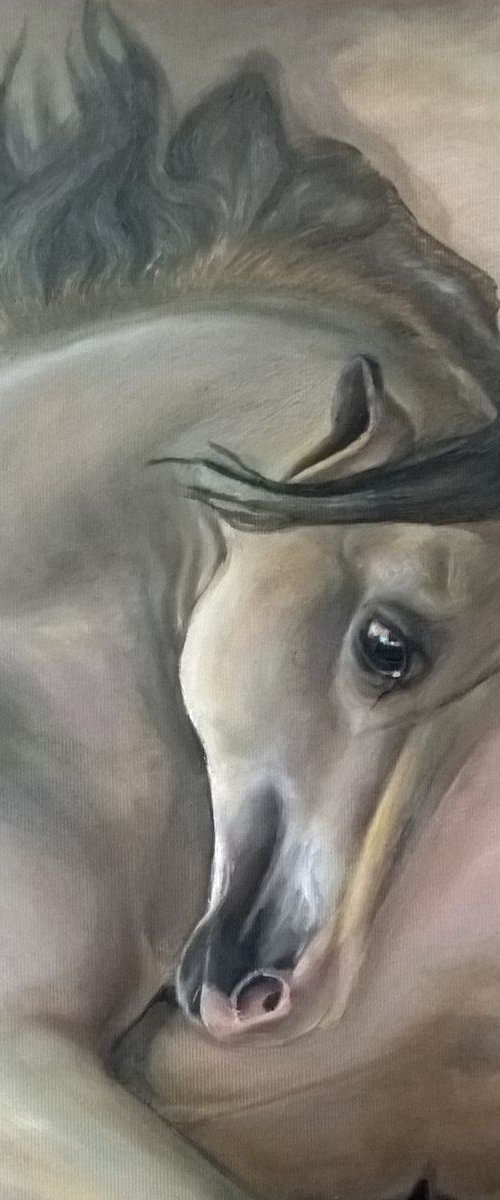 horse by Viktória Déri