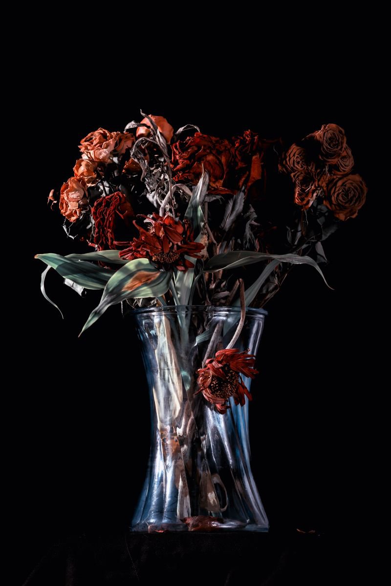 Photorealistic Photograph , End Of Life! By Paul Nash, 16 X 24, Artwork For Sale On Artfinder