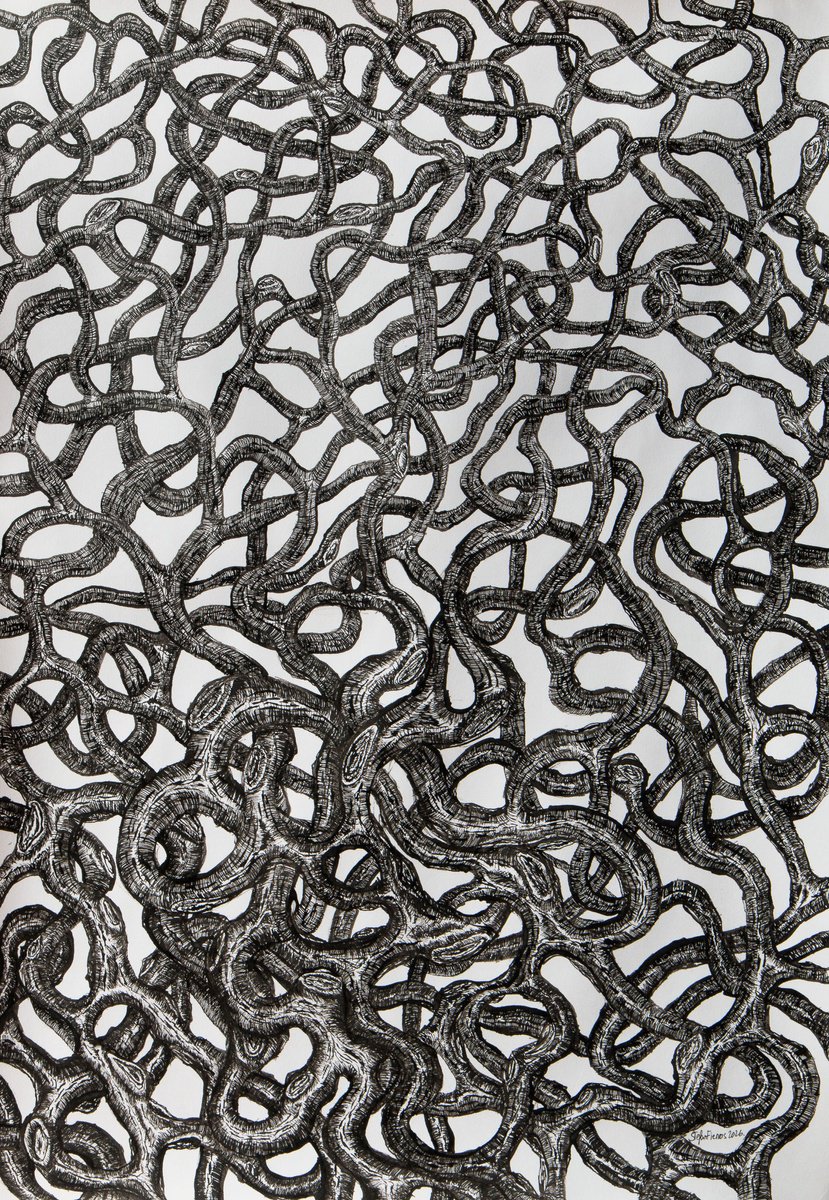 Photorealistic Ink Drawing , Entanglement By Stefan Fierros, 17 X 24, Artwork For Sale On Artfinder