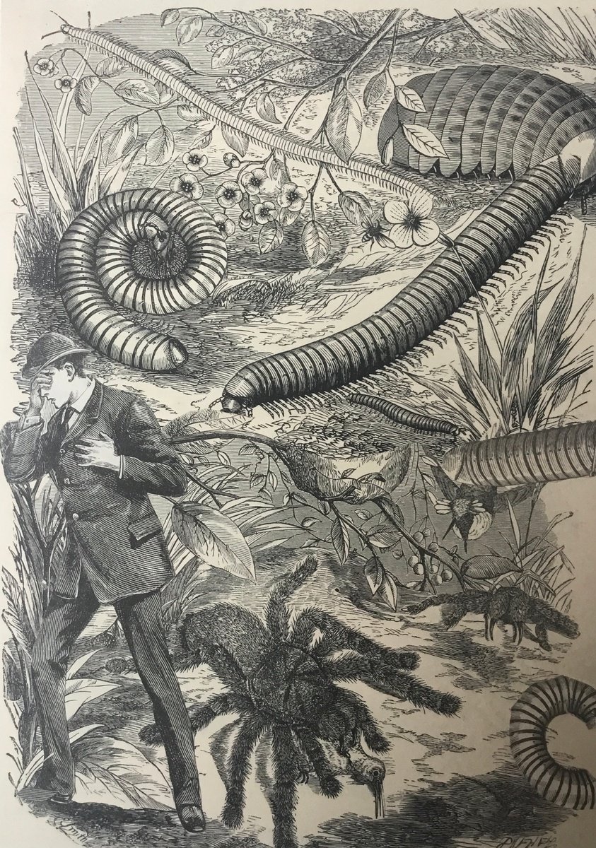 Surrealistic Portrait Collage By Tudor Evans, 5 X 7", In The Garden, Original Artwork