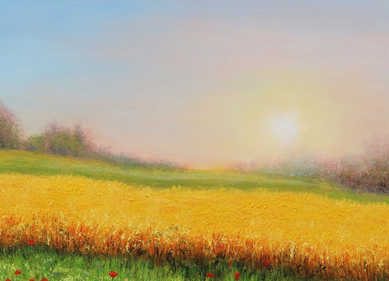 Wheat field in summer