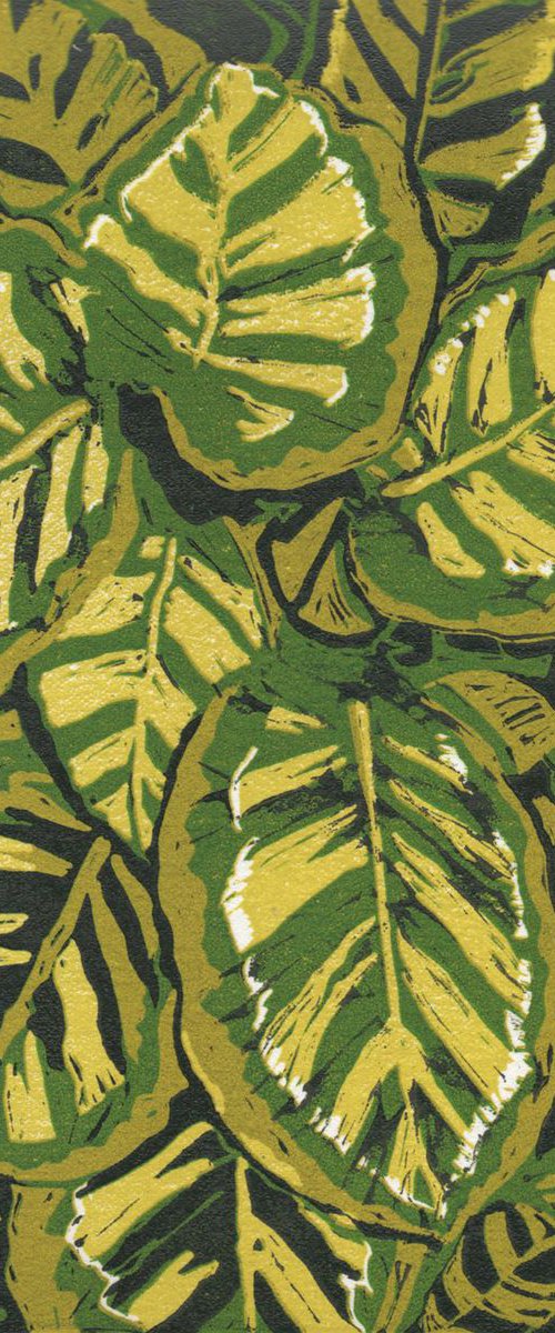 Tiger Leaves by Carole King
