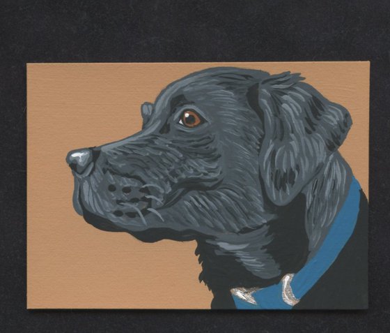 ACEO ATC Original Miniature Painting Black Labrador Retriever Pet Dog Art-Carla Smale