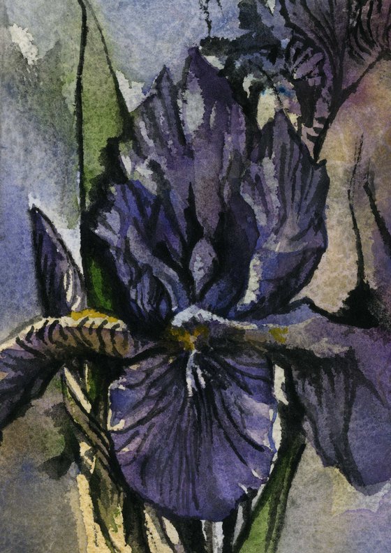 blue iris watercolor on hand-made paper