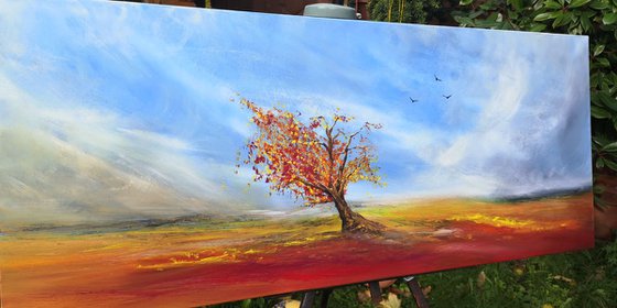 Autumnal Colours - Autumn Landscape