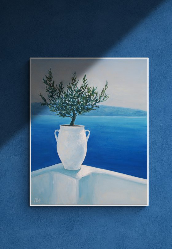 Olive tree in a white pot