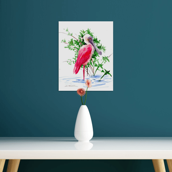 Roseate Spoonbill