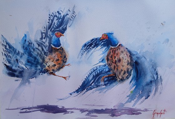 pheasant 4