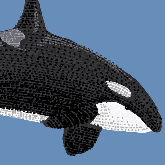 Killer whale - Stippling Illustration