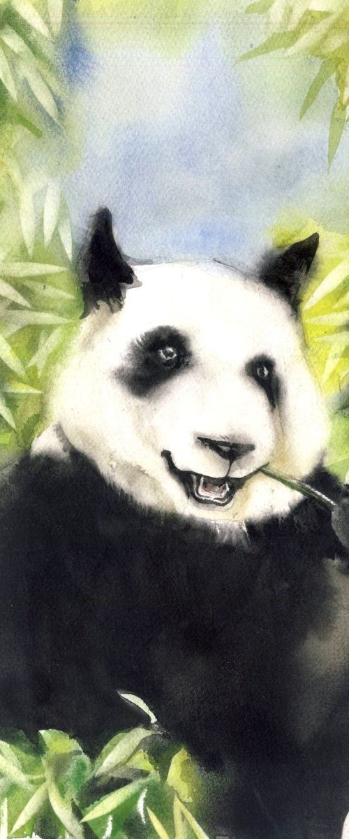 Giant panda with bamboo by Alfred  Ng