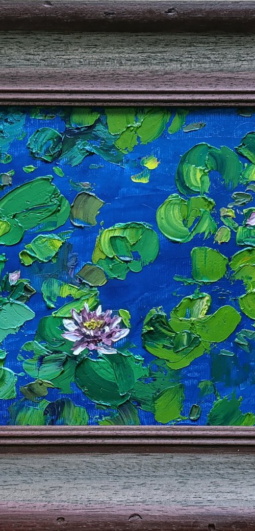 WATER LILIES by Salana Art / Svetlana Samovarova