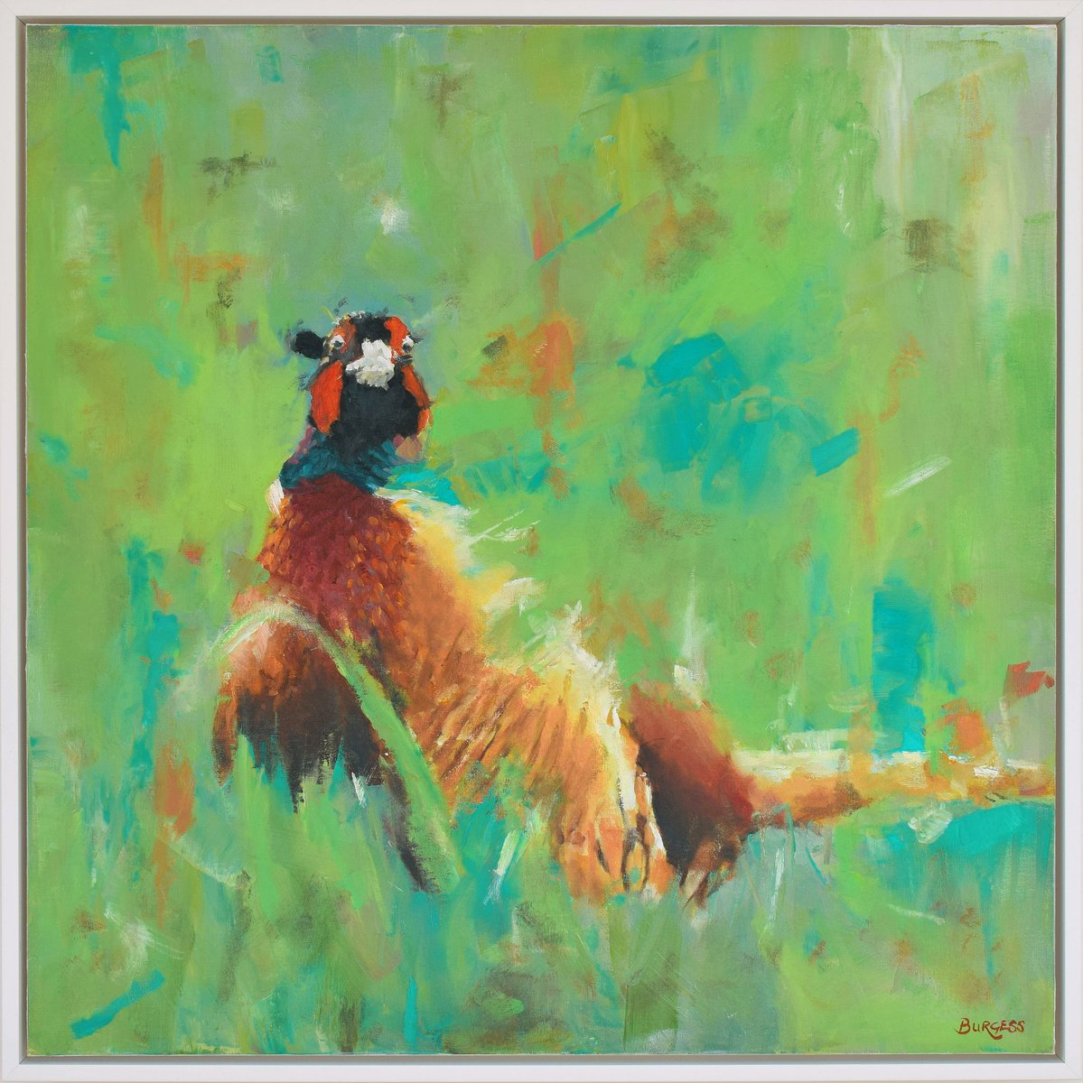 Pheasant - Wildlife Art - Framed Oil On Canvas board - 63cm x 63cm by Shaun Burgess