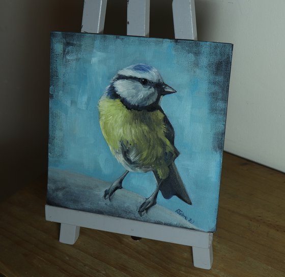 Lockdown's Morning Chorus Series - Blue Tit 2