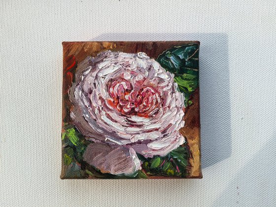 Pink rose original mini still life