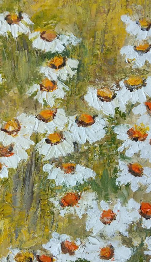 Field with daisies by Maria Karalyos