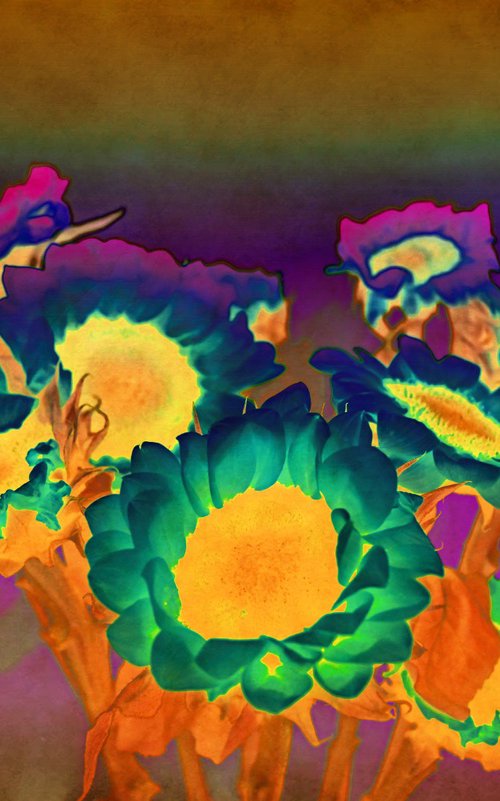 Polarised Sun flora by Sumit Mehndiratta