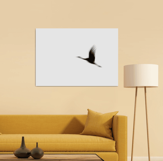 Crane(s) I | Limited Edition Fine Art Print 1 of 10 | 90 x 60 cm