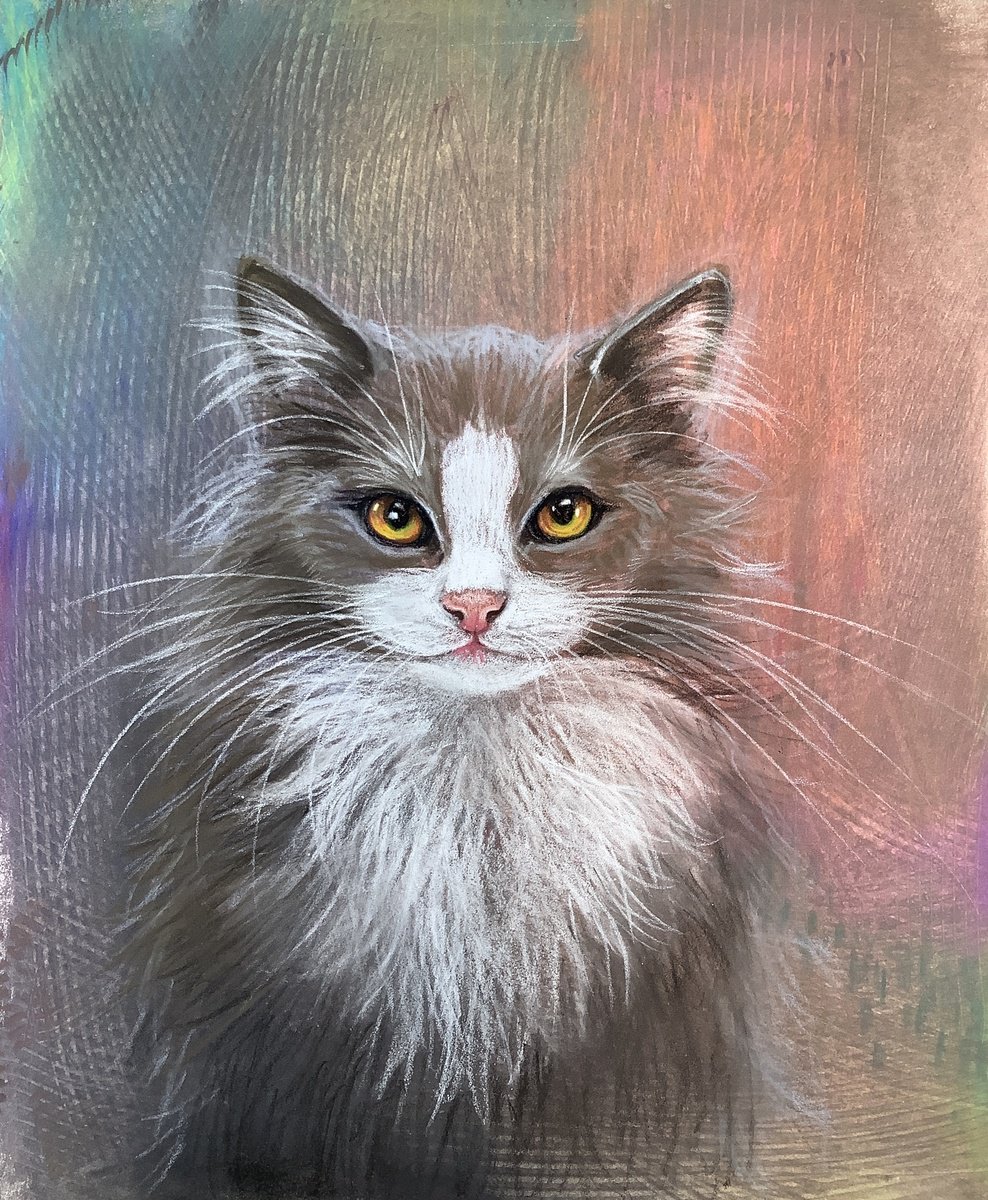 Pastel Drawing , Elvira By Eva Fialka, 9 X 12, Artwork For Sale On Artfinder