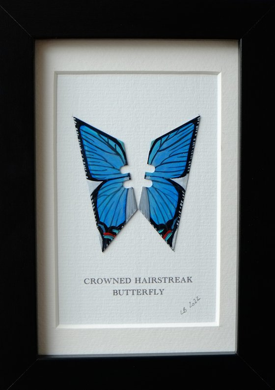 Crowned Hairstreak butterfly