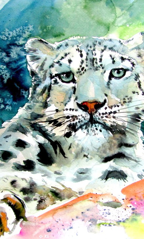Snow leopard II by Kovács Anna Brigitta