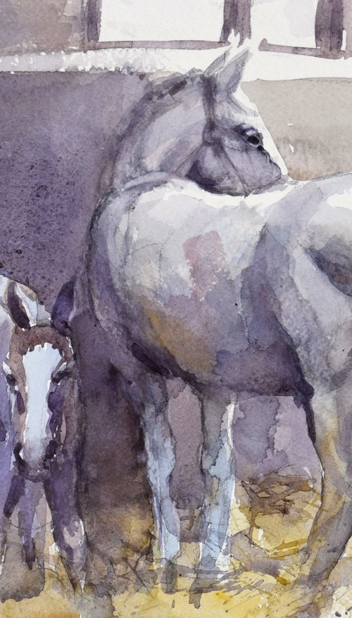 Mare and foal by Goran Žigolić Watercolors