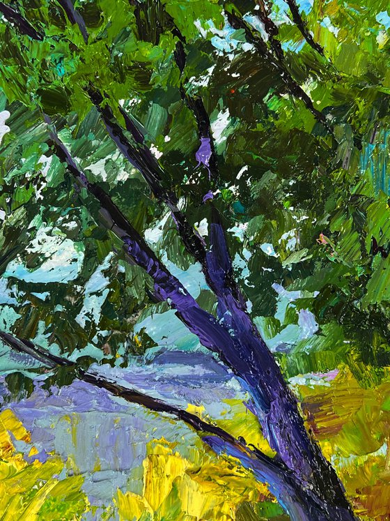 Summer Forest Glade