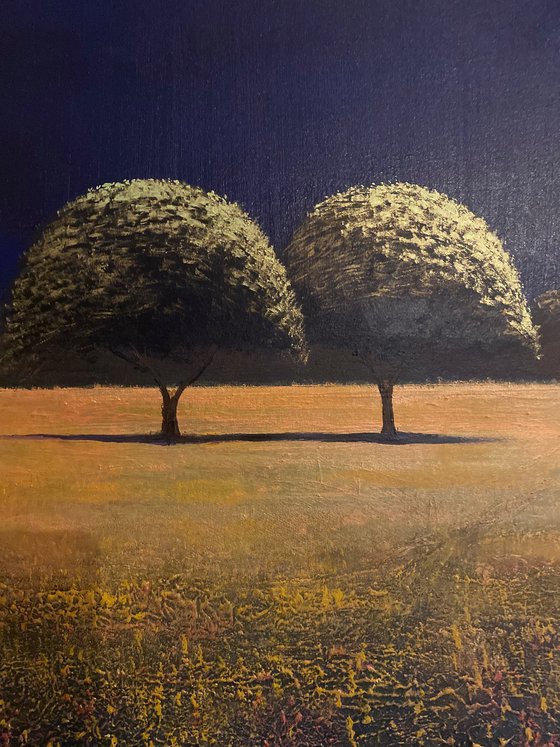 2 Trees in the stillness