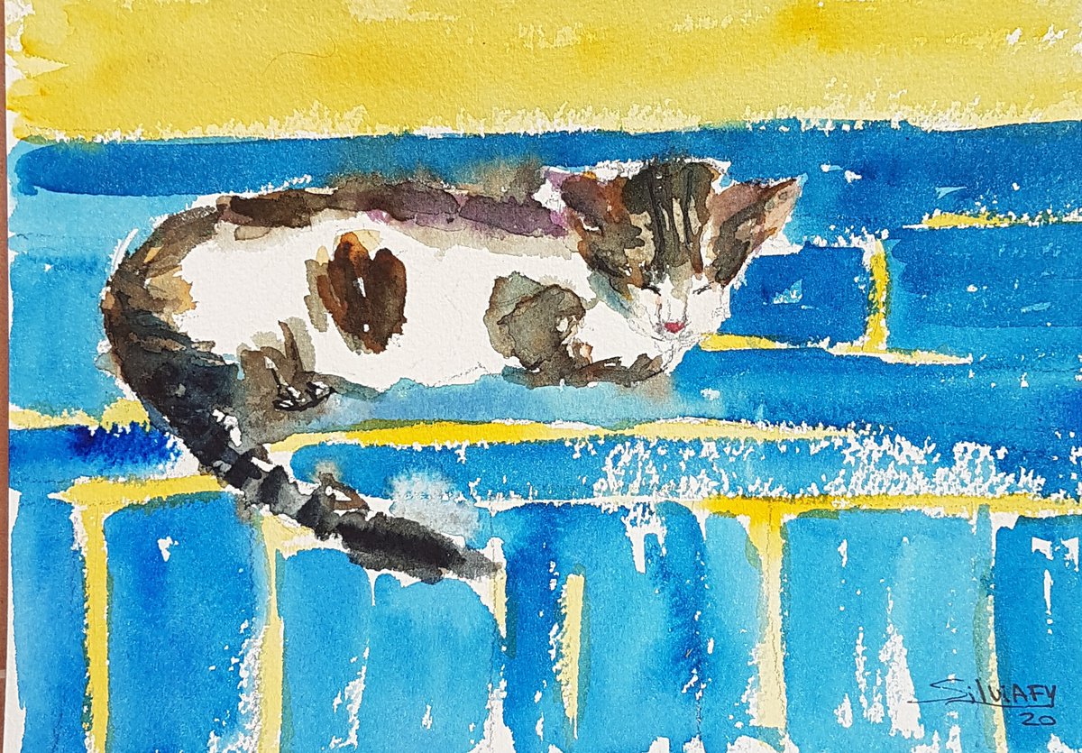 Cat study II by Silvia Flores Vitiello