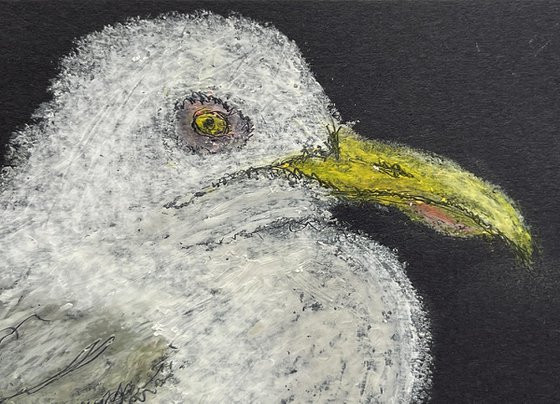 The Grumpy Seagull