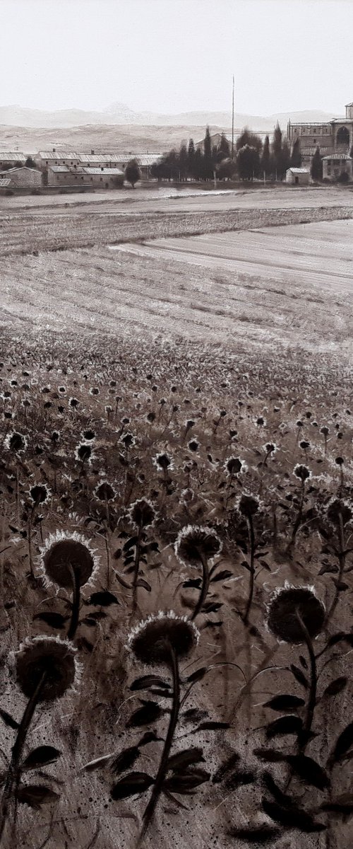 SIRGA. by Rafael Carrascal