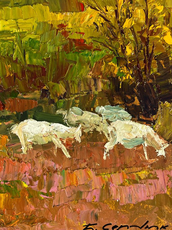 White Goats in the Meadows