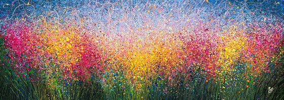 Dreams in Bloom