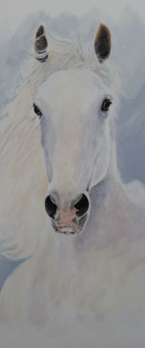 Beauty and Strength by Mel Davies Original Art