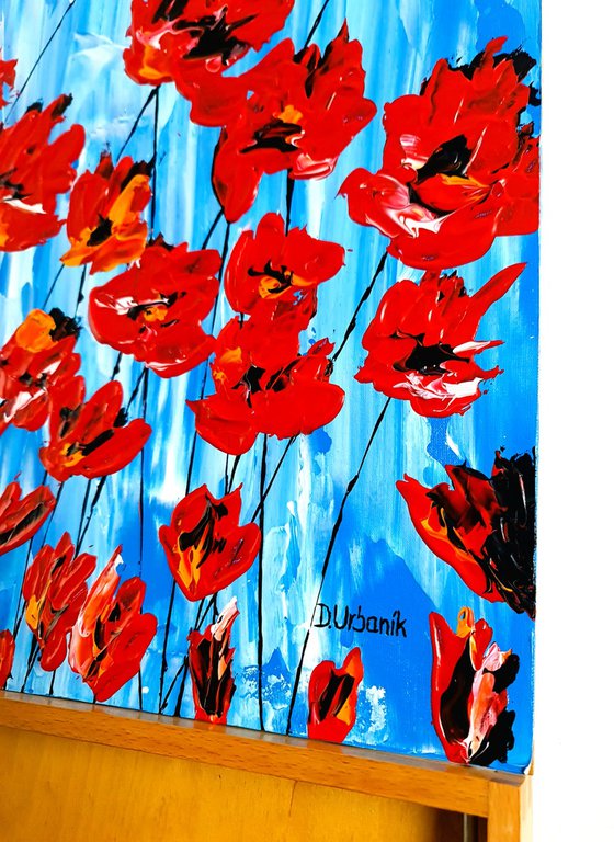 Poppies On Blue