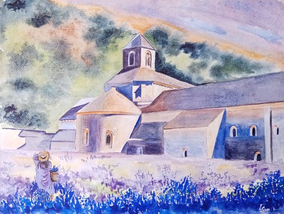 Bougainvillea and lavender