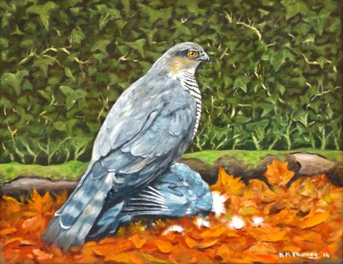 Sparrowhawk and prey by Kieran McElhinney