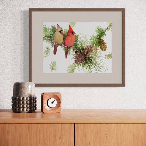 Cardinal Birds
