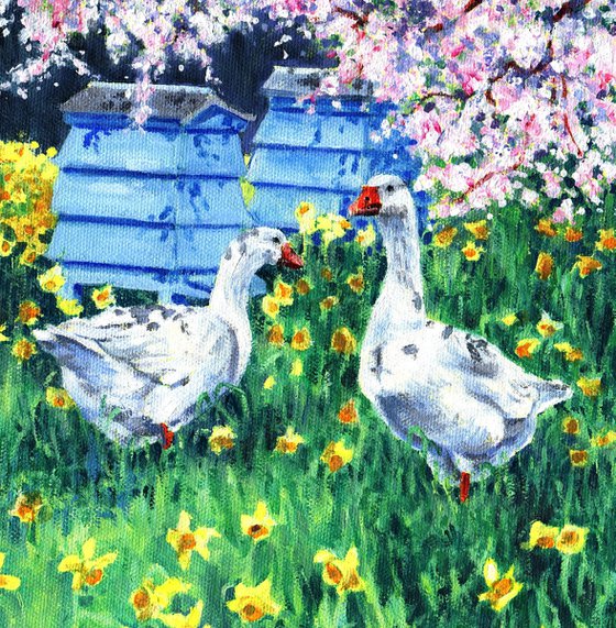 Geese and Beehives