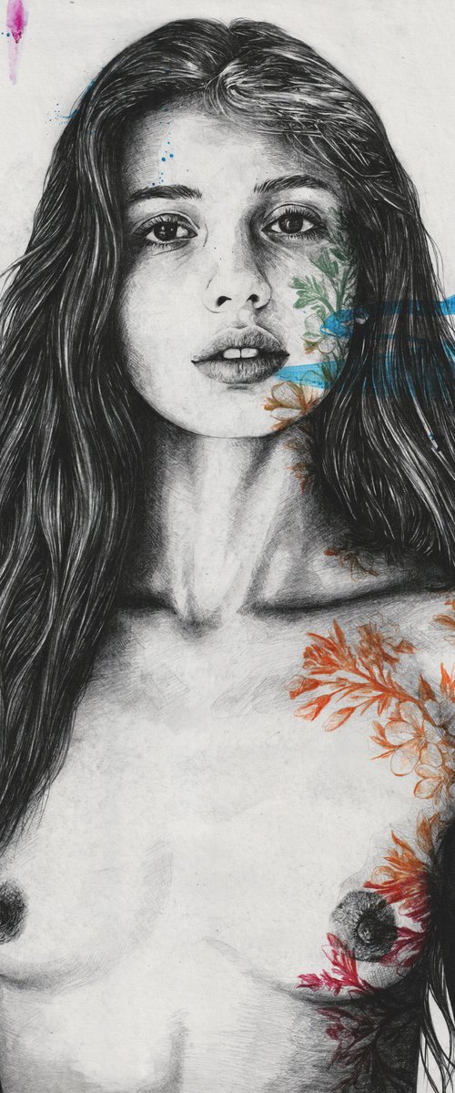 Carolina I by Marco Paludet