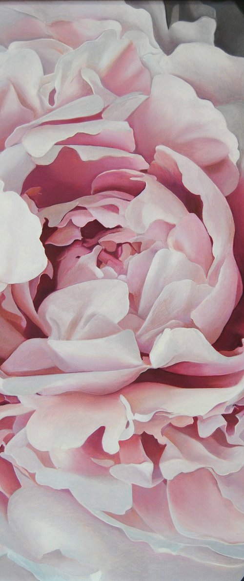 White peony by Valeri Tsvetkov