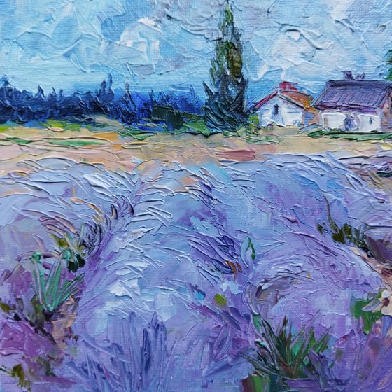Scent of lavender field 20*30 cm