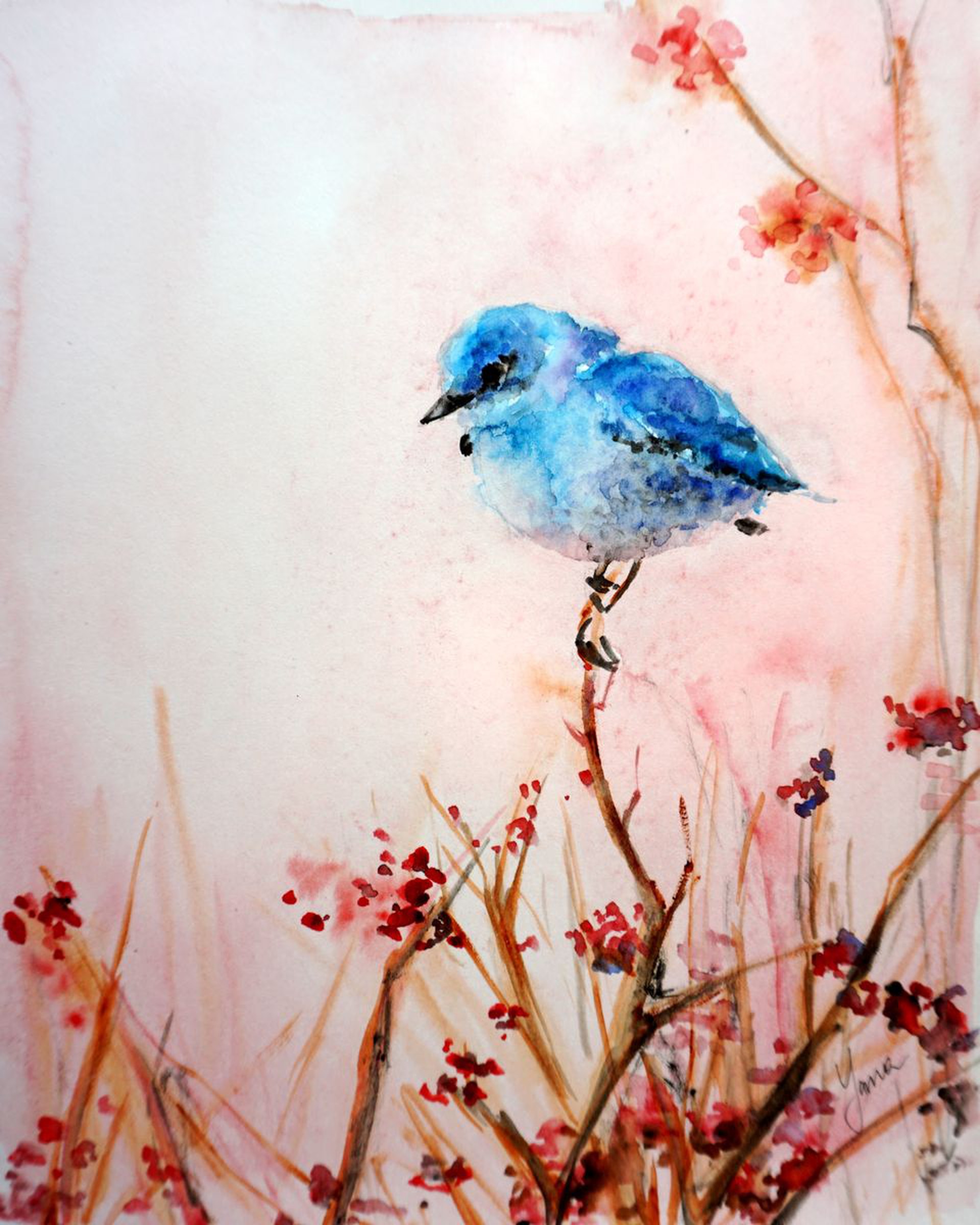 Colorful Bird Original Watercolor Painting Artfinder