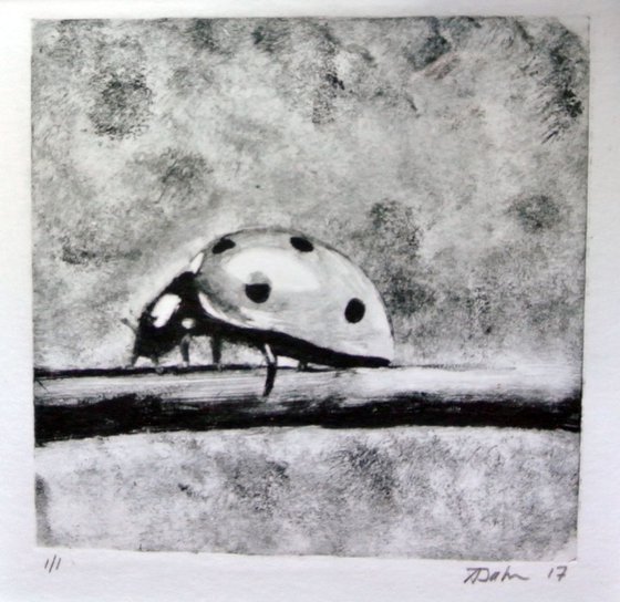 Ladybird Monoprint, Framed Artwork Ready to Hang