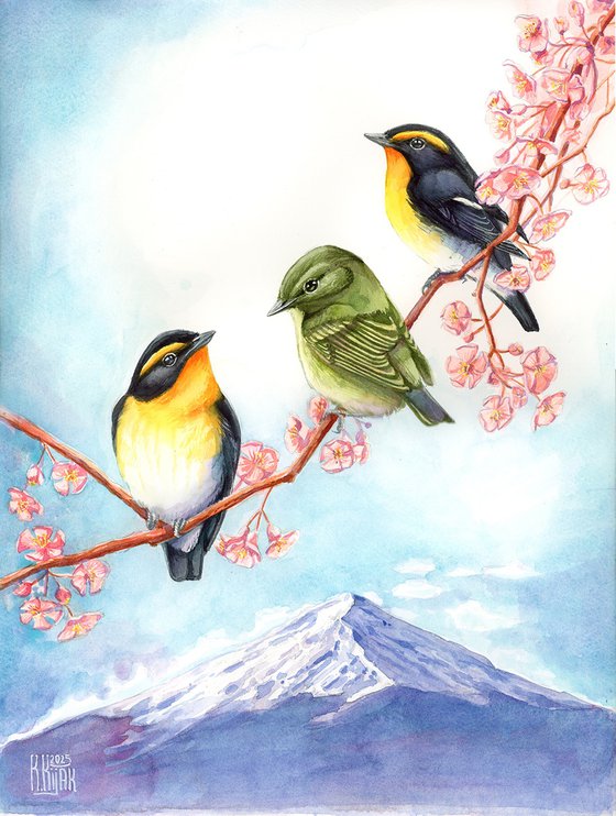 Narcissus Flycatchers - Commission