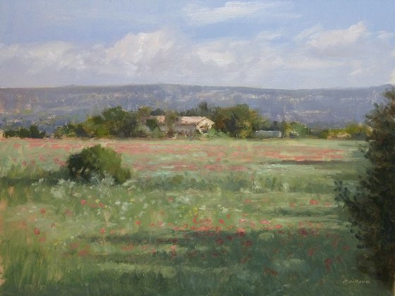 Poppies near Sisteron