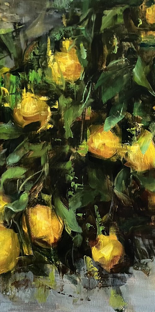 LEMONS -PROVENCE by Elena Mashajeva-Agraphiotis
