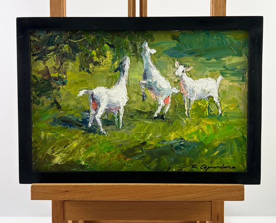 Summer Day on the Pasture