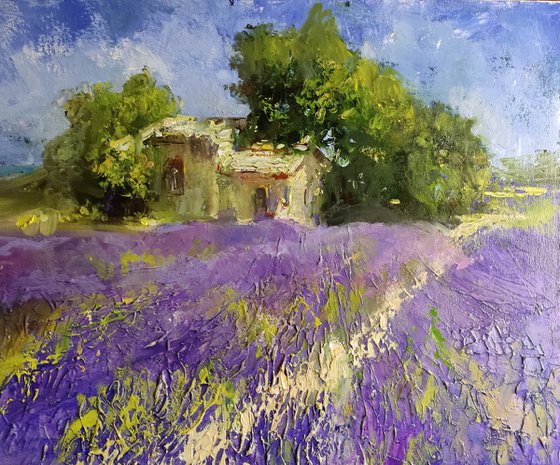 Lavendelfeld , Impasto , Palette Knife